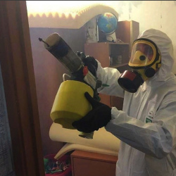 Уничтожение клопов в квартире. Мирный